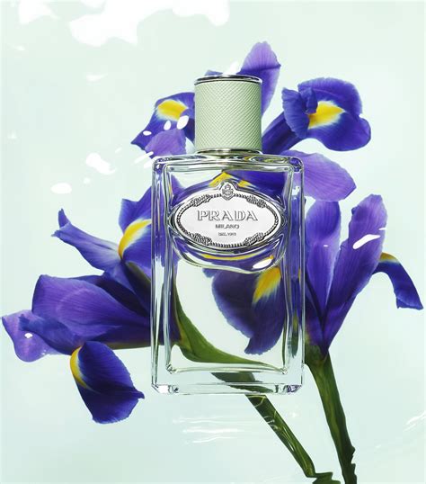 infusion d'iris Prada 100ml